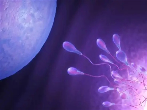 美国 vs 中国试管婴儿：周期、费用、成功率全方位对比